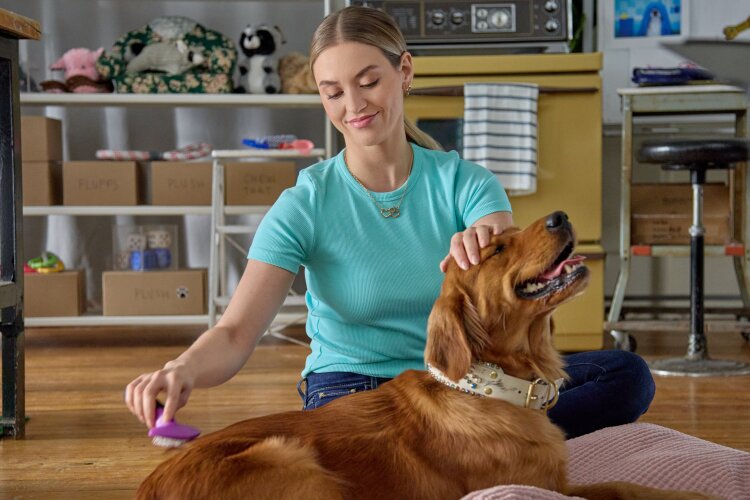 A woman brushing a golden retriever's fur while sitting on the floor, both looking content.