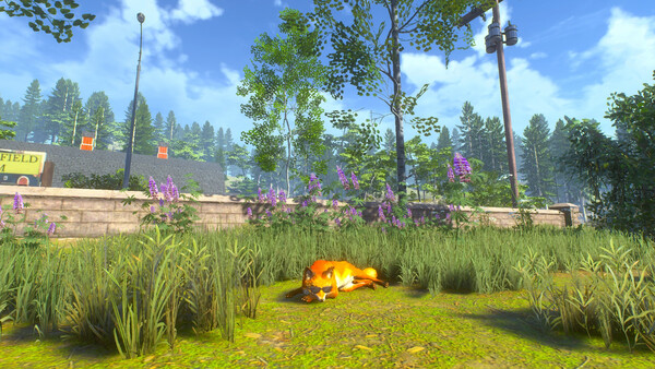 A fox peacefully napping on a sunny patch of grass surrounded by trees and purple flowers in Chill Fox.